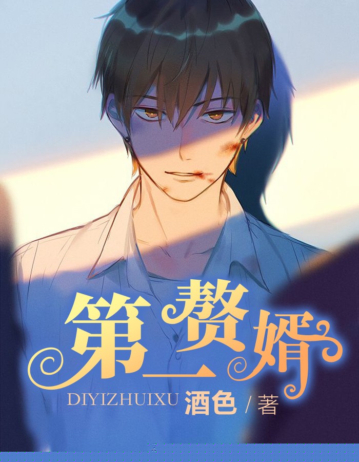第一赘婿