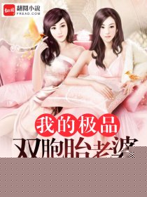 我的极品双胞胎老婆