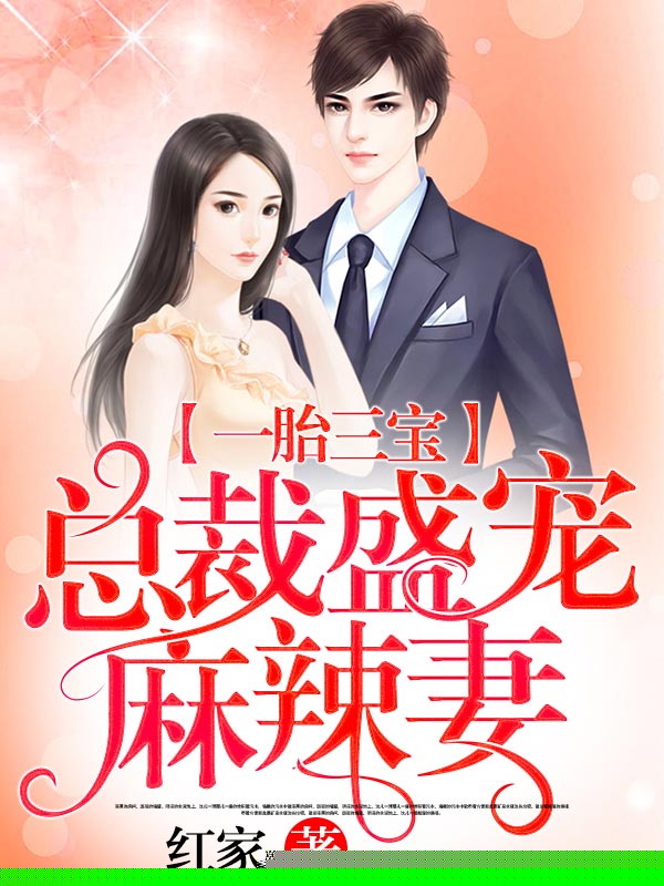 一胎三宝：总裁盛宠麻辣妻