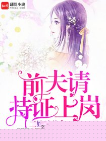 二嫁总裁：前夫，请持证上岗