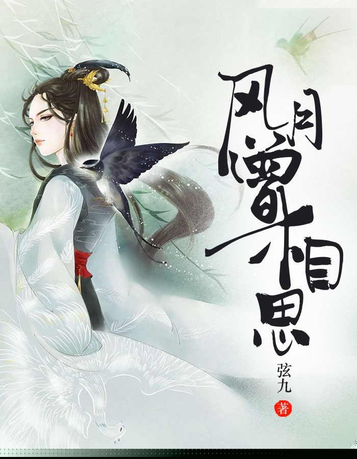 风月曾相思