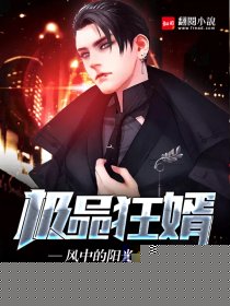 极品狂婿