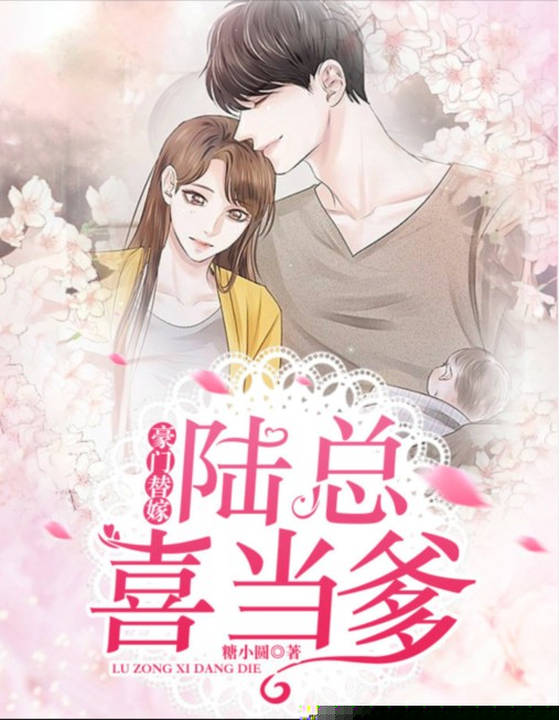 豪门替嫁：陆总喜当爹
