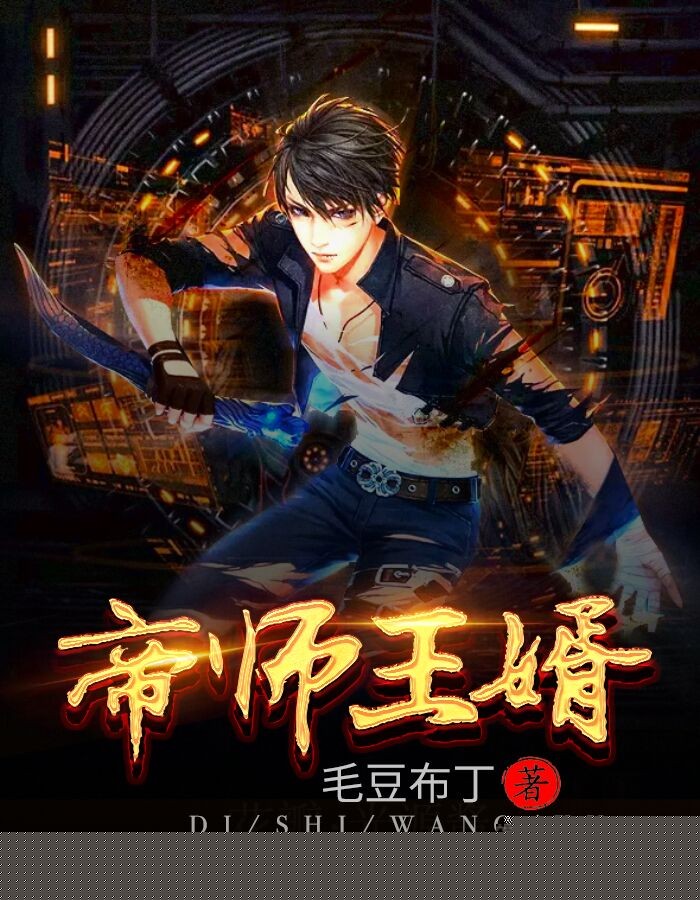 帝师王婿