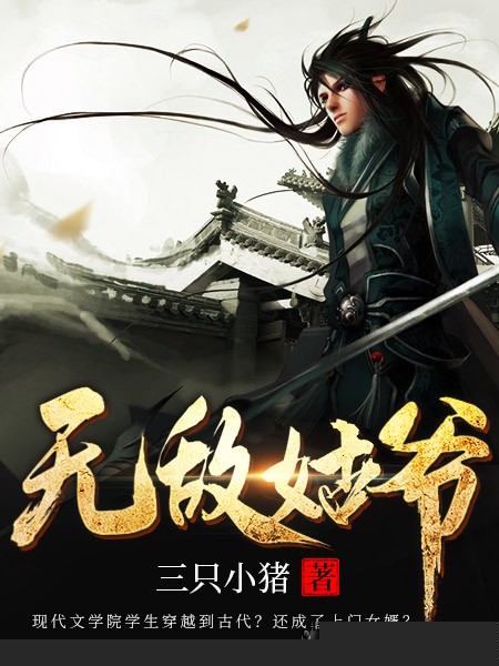 无敌姑爷