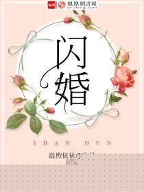 闪婚