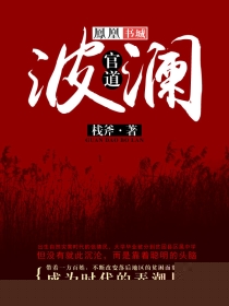 官道波澜