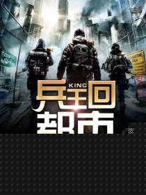 兵王回都市
