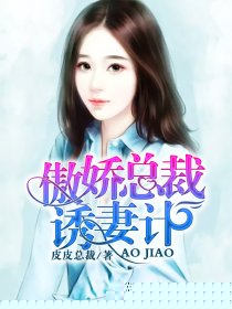 傲娇总裁诱妻计
