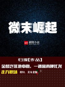 微末崛起