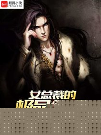 女总裁的极品保镖