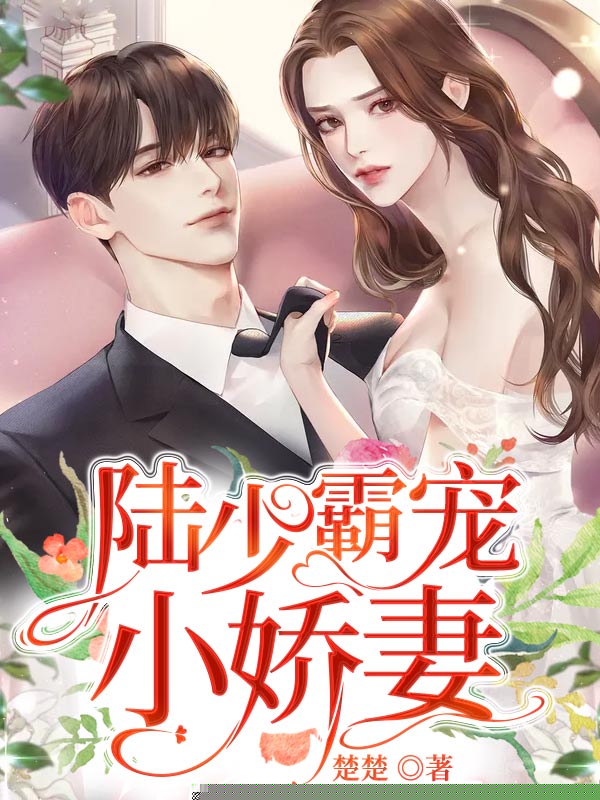 陆少霸宠小娇妻