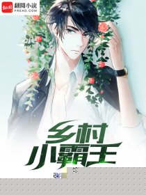 乡村小霸王