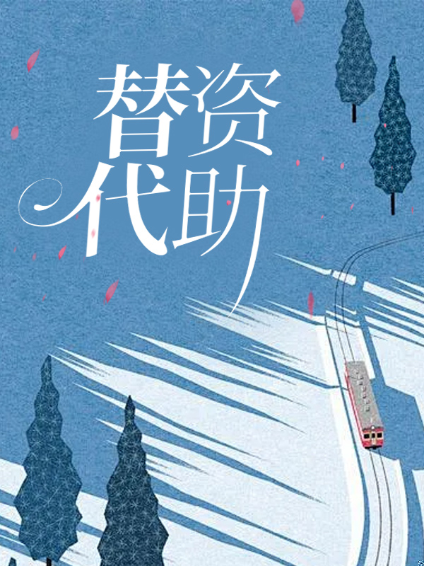 替代资助