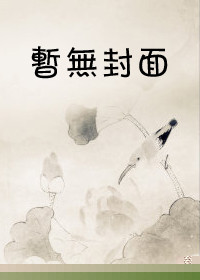傻子奇遇