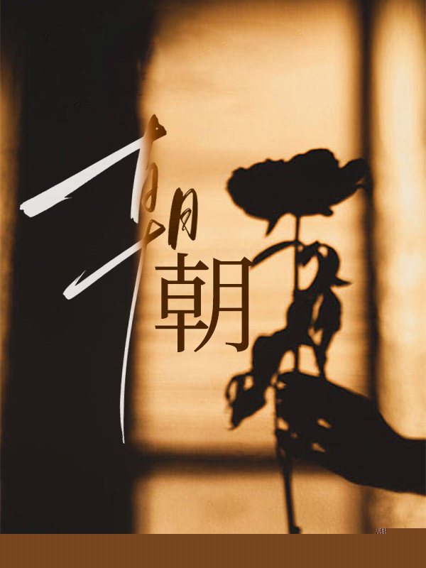 朝朝