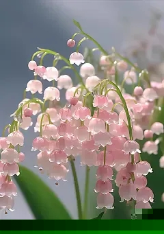朋友妻的秘密