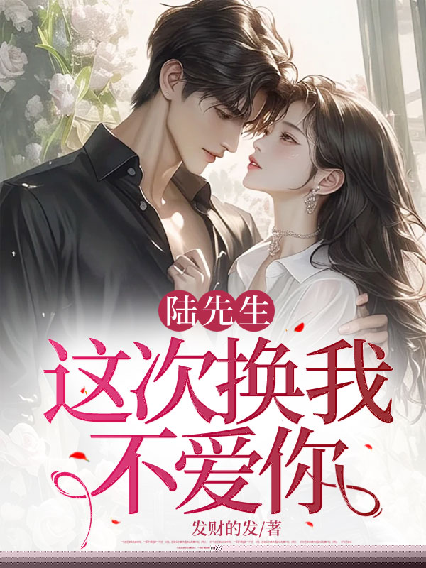 陆先生，这次换我不爱你