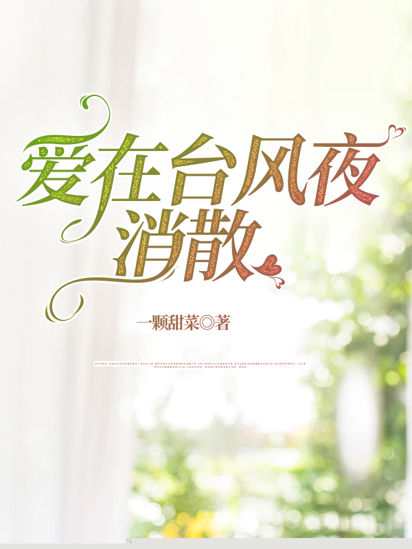 爱在台风夜消散