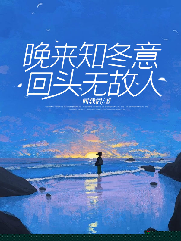 晚来知冬意，回头无故人