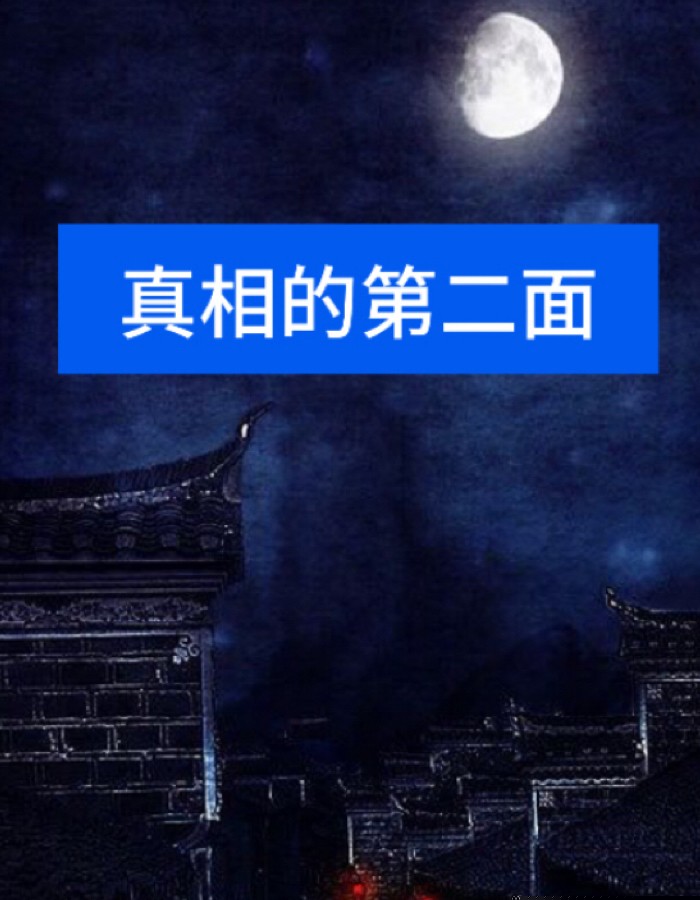 真相的第二面