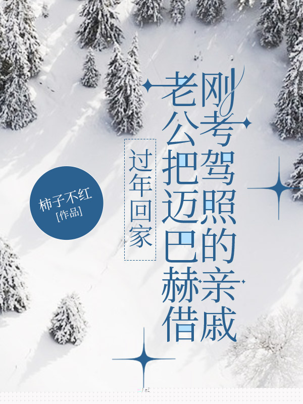 过年回家，老公把迈巴赫借刚考驾照的亲戚