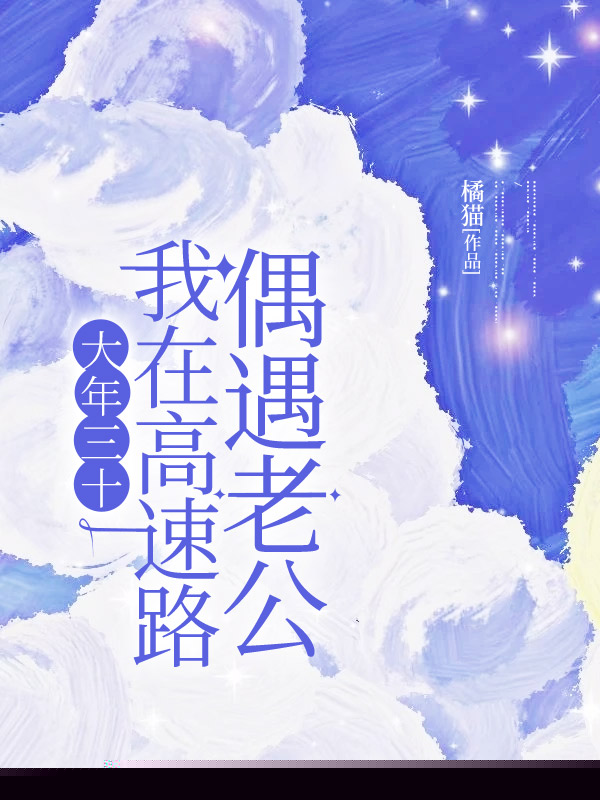 大年三十，我在高速路偶遇老公