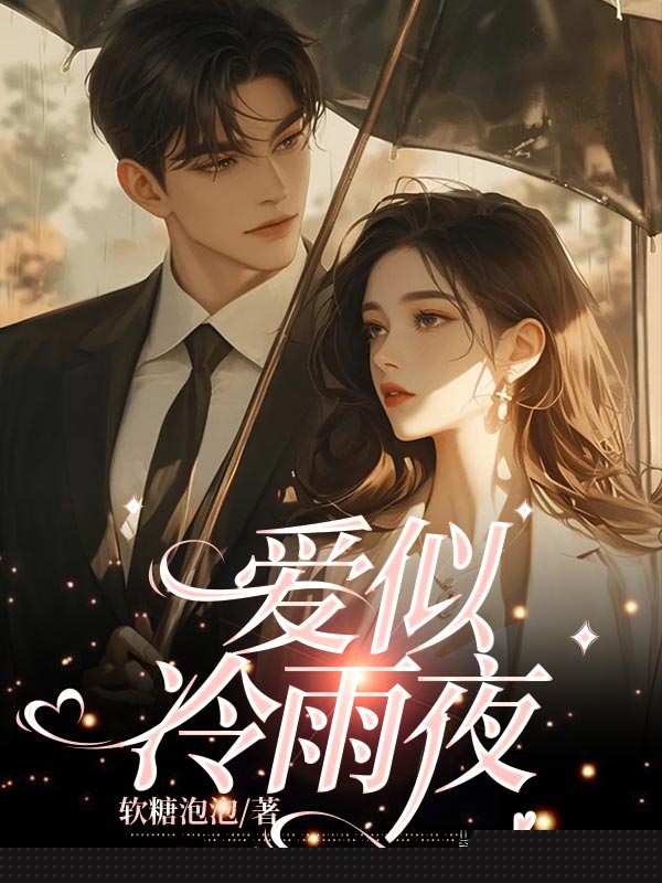 爱似冷雨夜