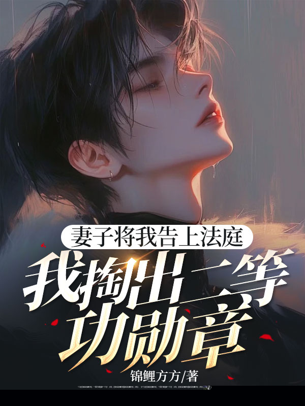 妻子将我告上法庭，我掏出二等功勋章