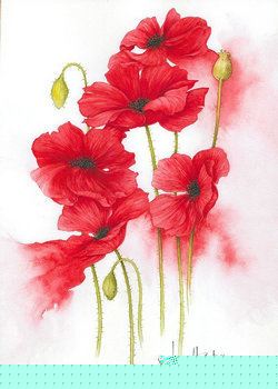 朋友的校花老婆