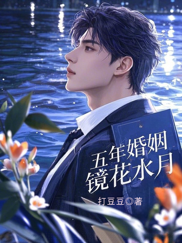 五年婚姻，镜花水月