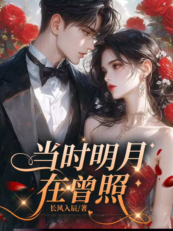 当时明月在曾照