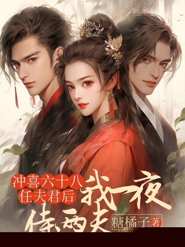 冲喜六十八任夫君后，我一夜侍两夫