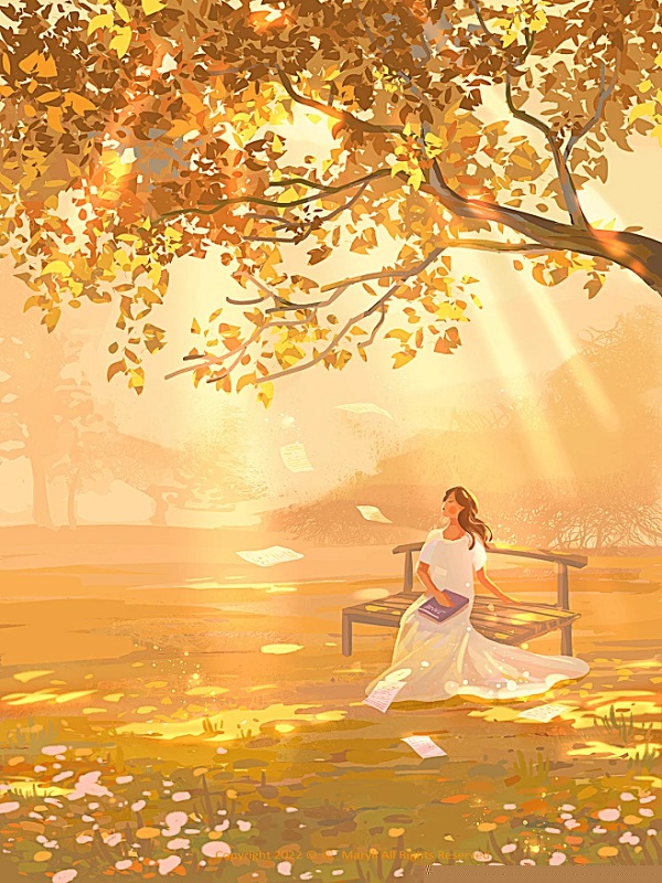 爸爸的死亡诅咒专辑