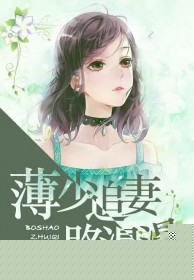 薄少追妻路漫漫