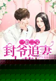 一胎三宝：封爷追妻火葬场