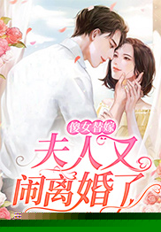 傻女替嫁：夫人又闹离婚了
