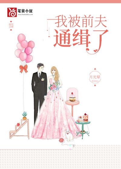 我被前夫通缉了